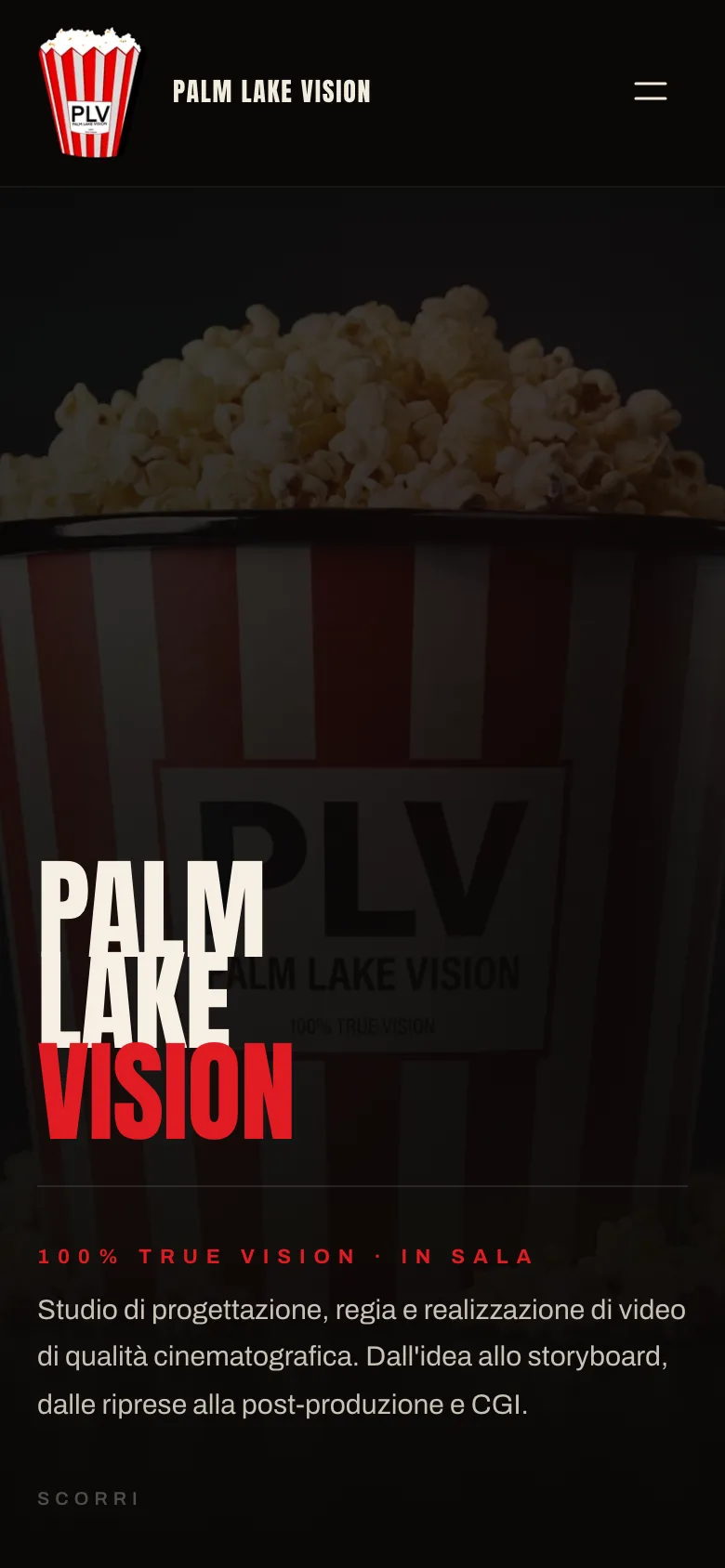 Palm Lake Vision — palmlakevision.com