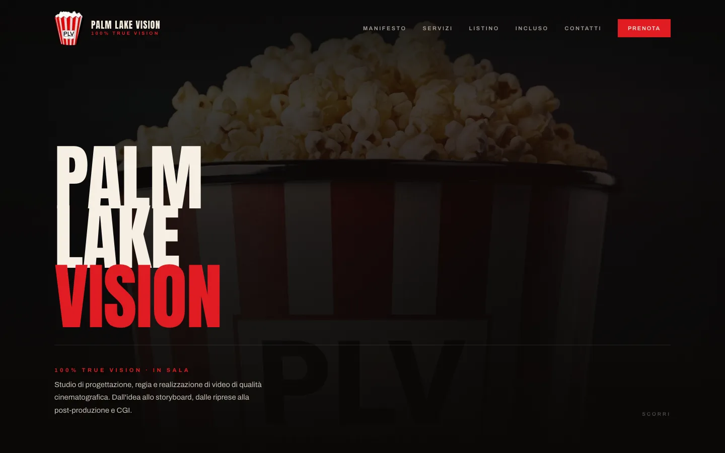 Palm Lake Vision — palmlakevision.com